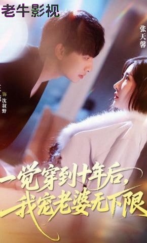 一觉穿到十年后，我宠老婆无下限