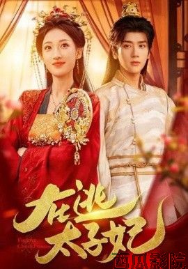 在逃太子妃