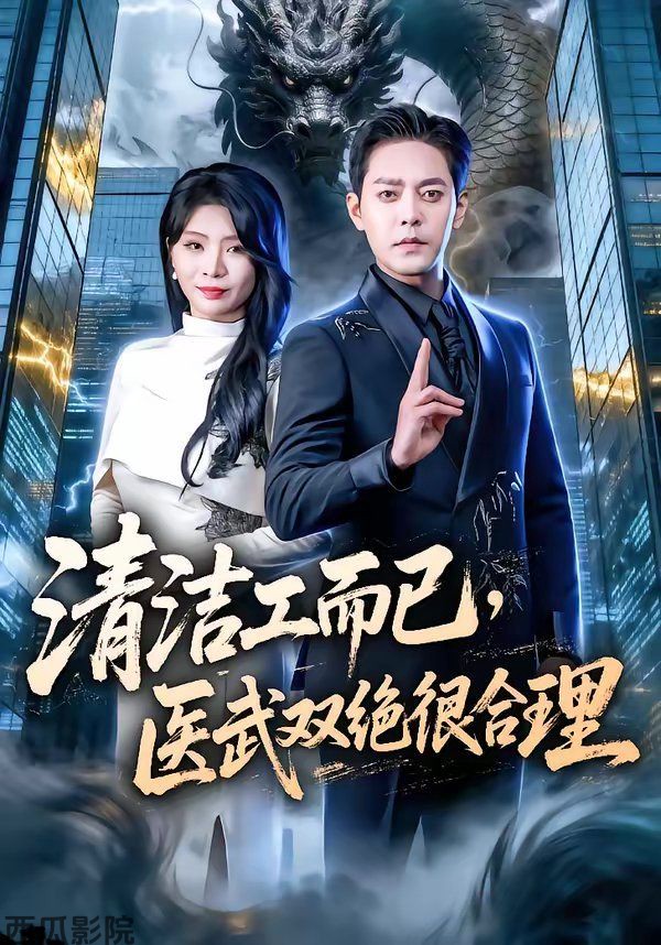 清洁工而已，医武双绝很合理